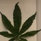 tekk4 20