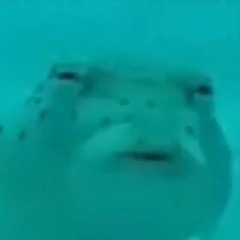 FriedMcFish