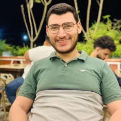 Mohamed Elmorsi
