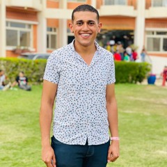 Fady Romany