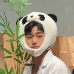 🐼panda🐼