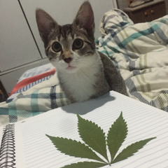 KALADO!