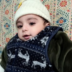 zayan bajwa