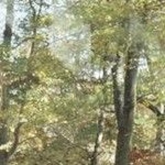 vocaloid/general japanese music?