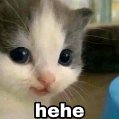 hey.kazutora