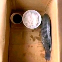 Авдей Балашов