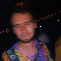 brodofaggins