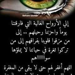 عمرو ميدو