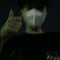 Ng_thun!