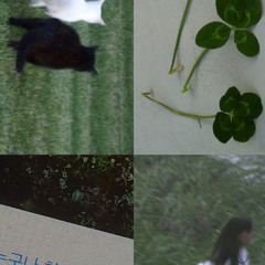 채