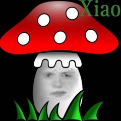 ＸＩＡＯＧＯＭＮＩＫ