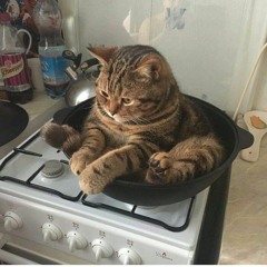 Nikos