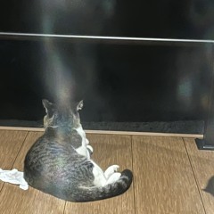 iimizu777