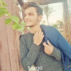 التايجر ميجو
