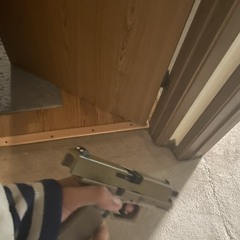SSdankger13