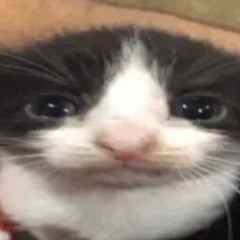 RealNinjaLeeALT