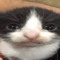 RealNinjaLeeALT