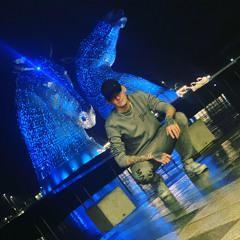 Mc Pinnacle