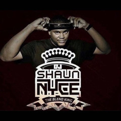 DJ Shaun Nyce