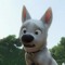BOLT