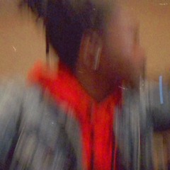 Fly G