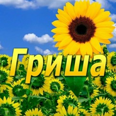 Грегор Котакбаш