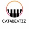 Cat4beatzz