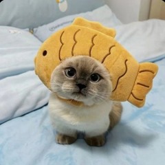 Ami <3