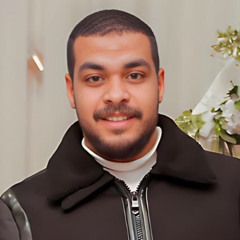 mohamed mobarak
