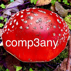 comp3any