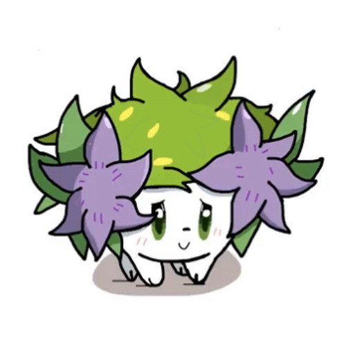 shay’s avatar