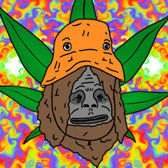 Billabob824