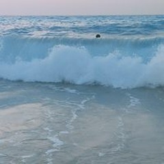 ابوزياد الطوخي