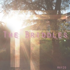 The briddles