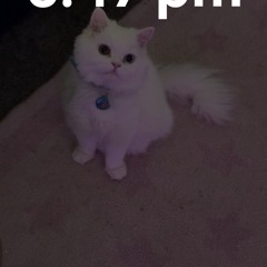 🎃🎃🎃🎃🎃🎃🎃🎃🎃