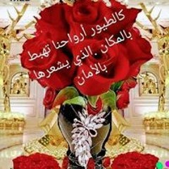 Moustafa Hadad