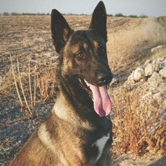 Mariio