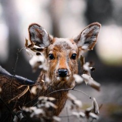 gdfgdfbvcbdrt3456356