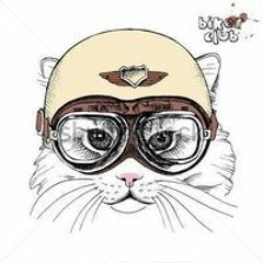 Patricia Althapé-Arhondo