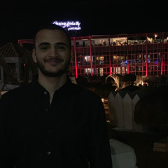 Ibrahim Eltahawy