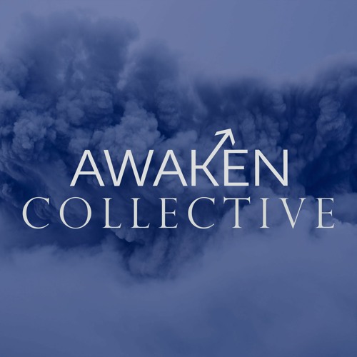 Awaken Collective’s avatar