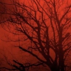THE ULTRAVIOLET CROW