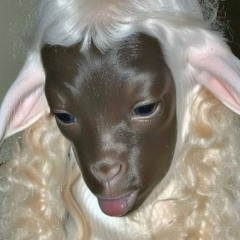 Slymcess