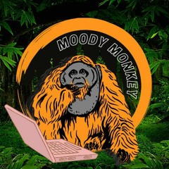 MOODY MONKEY