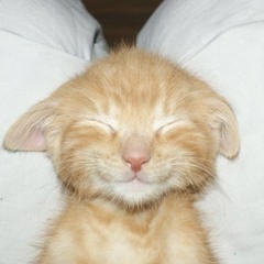 babyowlett