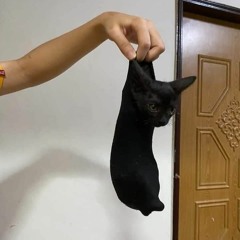 Banaan