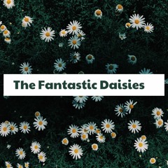 The Fantastic Daisies