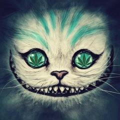 Grinsekatze420
