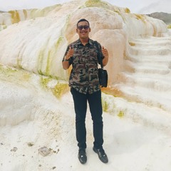 Padli juang