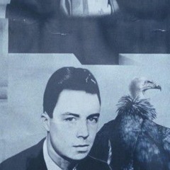 Ahmed Kamal